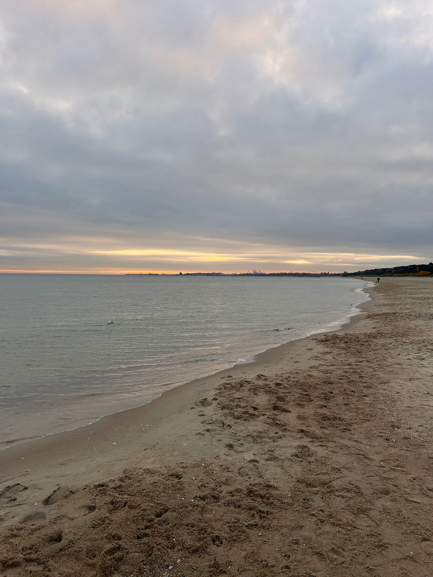 Serene evening at the Baltic beach - calm waters and soft clouds at dusk with city lights in the distance