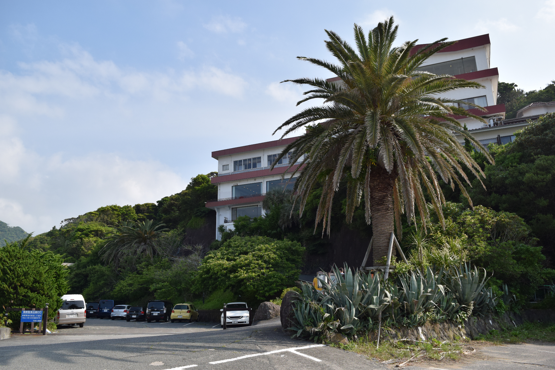 Coastal resort with palm trees - a tropical atmosphere along the Japanese seaside