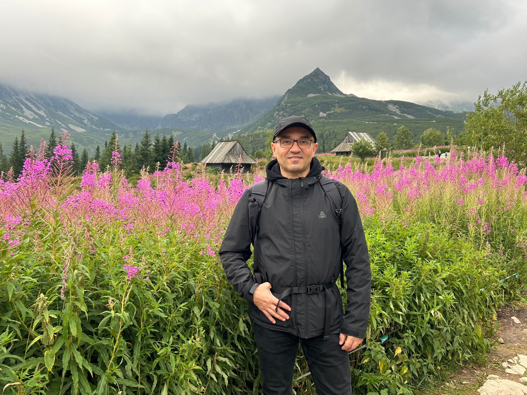 Among blooming fireweed in Dolina Gąsienicowa - pink wildflowers and traditional wooden huts with mountain peaks in the background