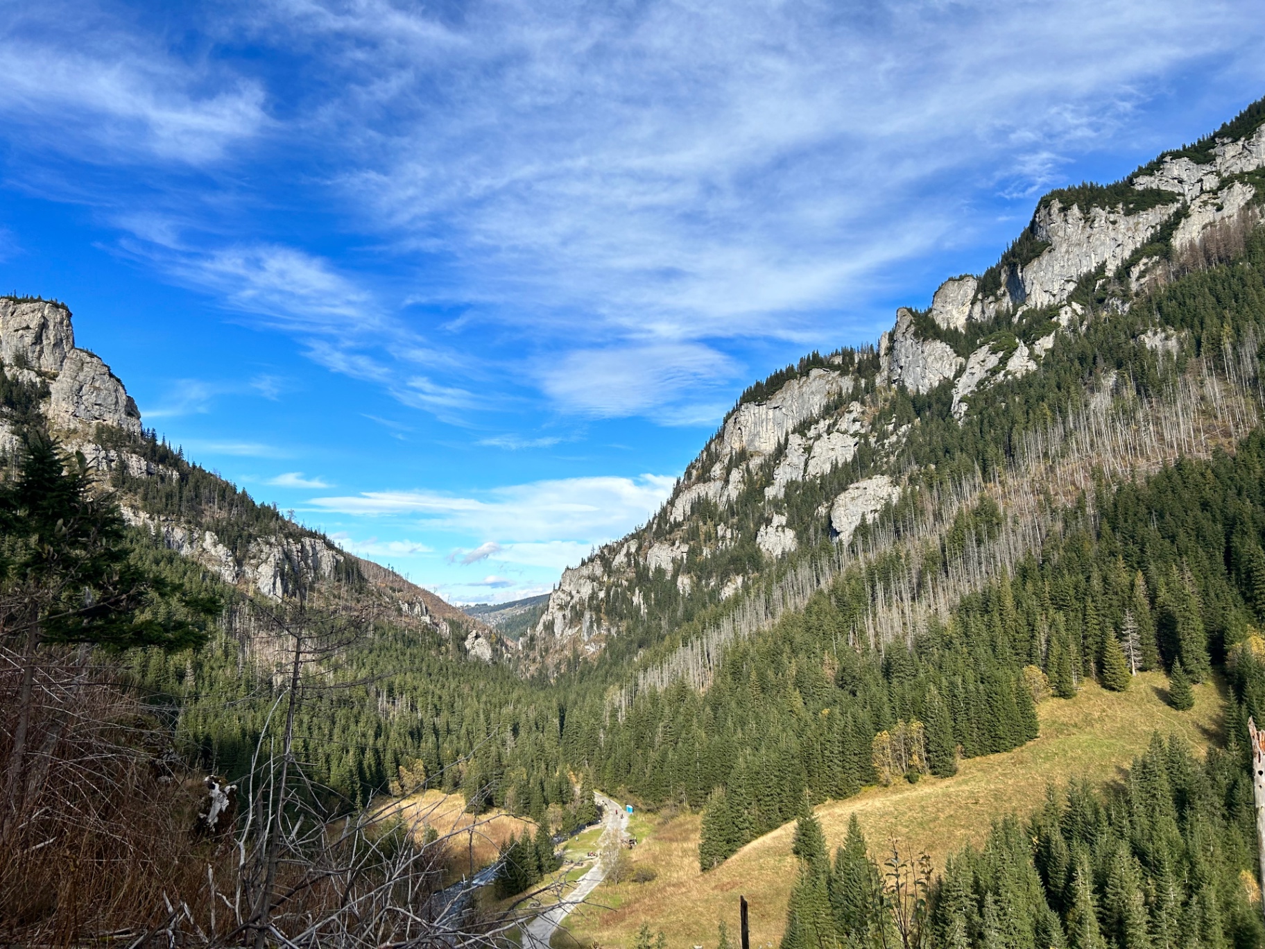 Dolina Kościeliska panorama - dramatic limestone cliffs and forested valley under blue skies