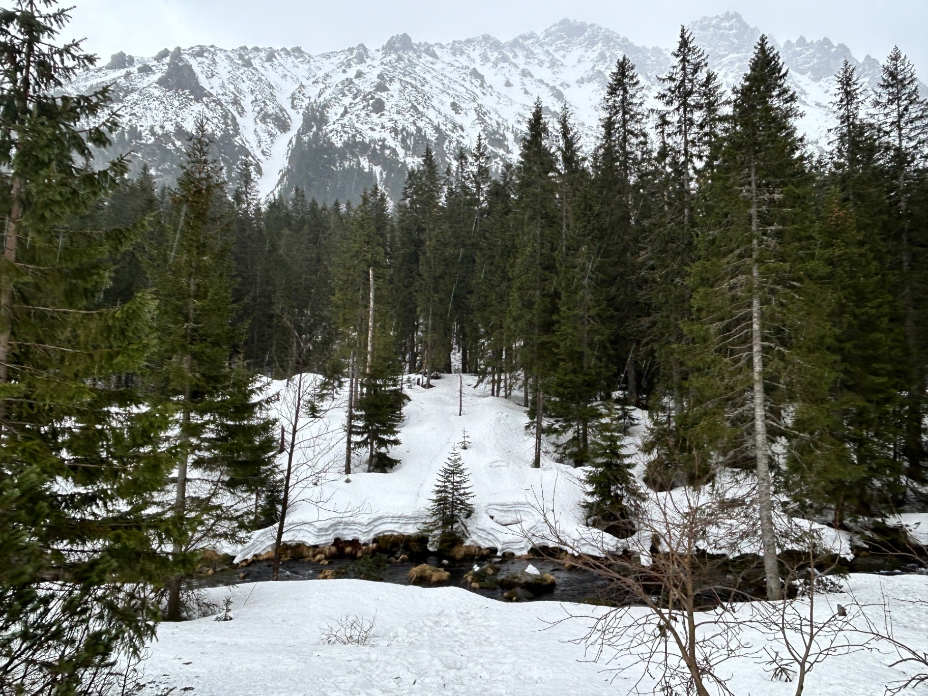 Winter wonderland in the Tatras - snow-covered forest with a mountain stream and majestic peaks in the background