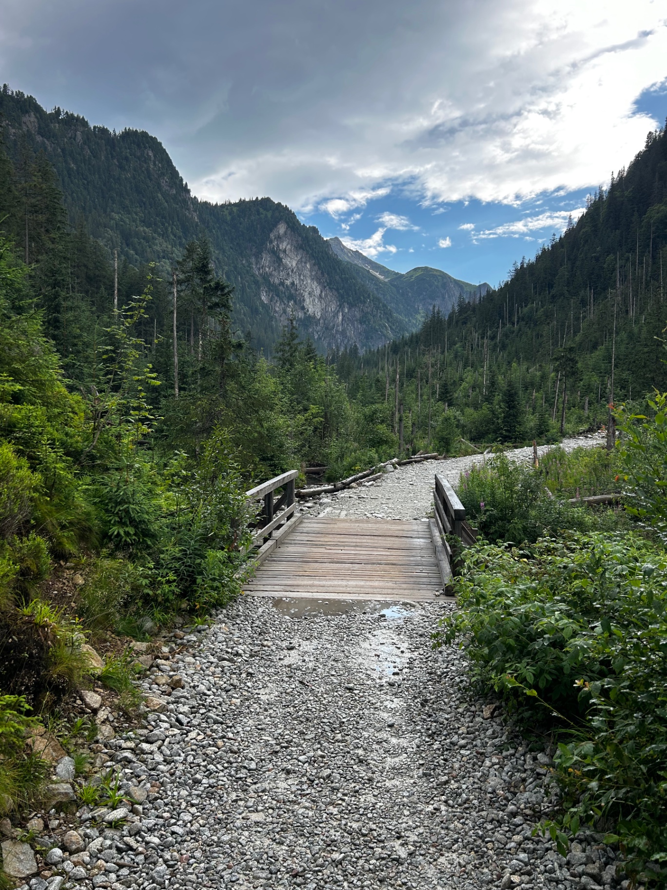 Wooden bridge crossing a mountain stream - the scenic trail through the forested Tatra valley